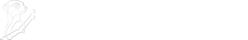StaffDevelopment